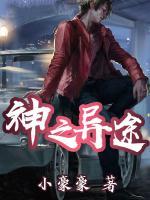 神之异途小说阅读