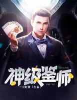 神级鉴师小说阅读