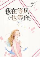我在等风也等你小说阅读
