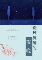 南风沉醉的夜晚小说阅读