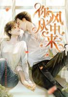 你从风中来小说阅读