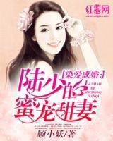 染爱成婚：陆少的蜜宠甜妻小说阅读