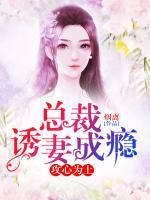 攻心为上：总裁诱妻成瘾小说阅读
