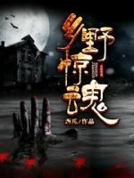 乡野惊魂小说阅读