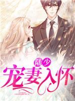 陆少宠妻入怀小说阅读