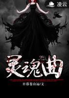 灵魂曲小说阅读