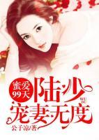 蜜爱99天：陆少宠妻无度小说阅读