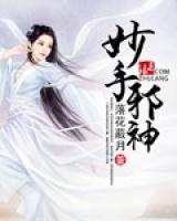 妙手邪神小说阅读