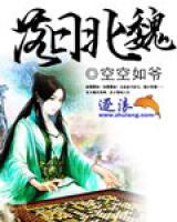 落日北魏小说阅读