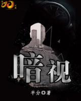 暗视小说阅读