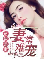 总裁追妻，妻常难宠小说阅读