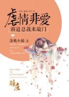 虐爱非情：霸道总裁来敲门小说阅读