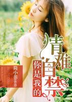 你是我的情难自禁小说阅读