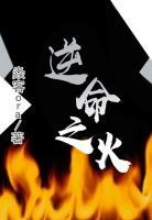 逆命之火小说阅读