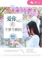 爱你在半梦半醒间小说阅读