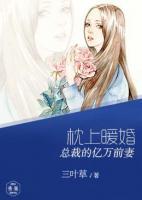 枕上暖婚：总裁的亿万前妻小说阅读