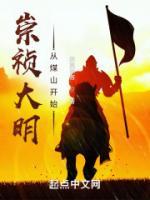朱高远胡心水小说阅读