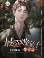 都市之最强败家子小说阅读