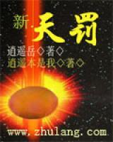 新天罚小说阅读