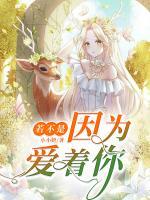 若不是因为爱着你小说阅读