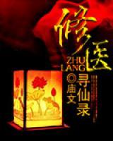 修医寻仙录小说阅读