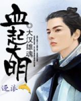 血起大明小说阅读
