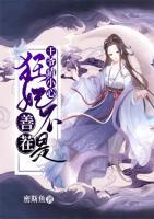 王爷请小心：狂妃不是善茬小说阅读