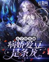 黎序苏妧小说阅读