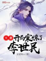 王子安长乐公主小说阅读