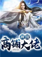 神级商铺大佬小说阅读
