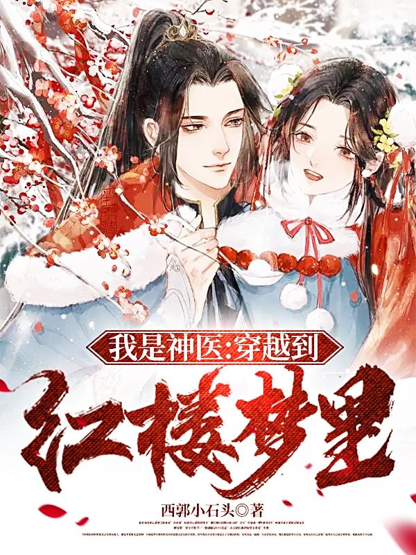 我是神医：穿越到红楼梦里小说阅读