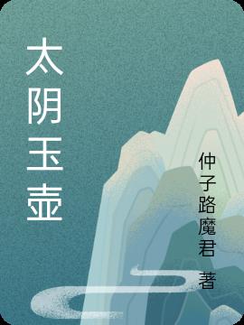 太阴玉壶小说阅读