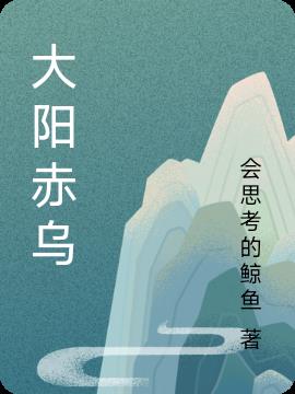 大阳赤乌小说阅读