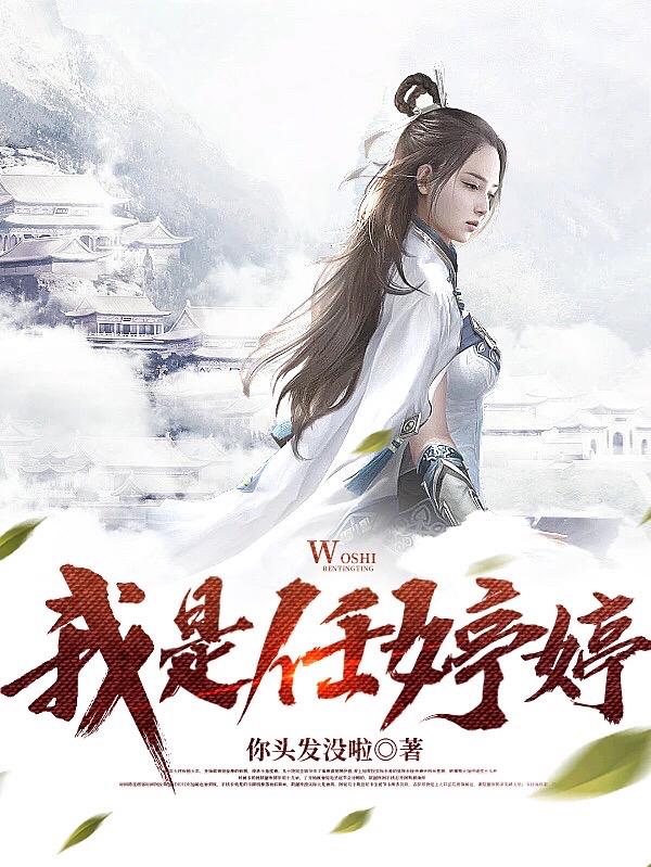 我是任婷婷小说阅读
