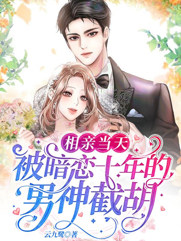 相亲当天，被暗恋十年的男神截胡小说阅读