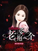 神秘爱恋：老婆，抱一个小说阅读