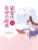 宋先生，你命中缺我小说阅读