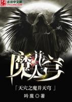 天穴之魔并天穹小说阅读