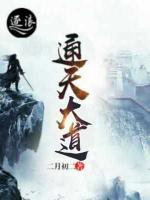 通天大道小说阅读