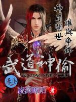 武道神偷小说阅读