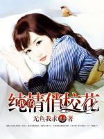 我的纯情俏校花小说阅读