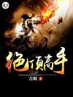 绝顶高手小说阅读