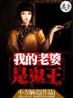 我的老婆是阴妻小说阅读