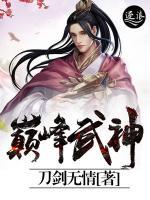 巅峰武神小说阅读
