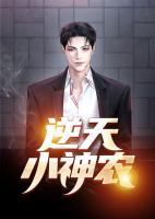 逆天小神农小说阅读