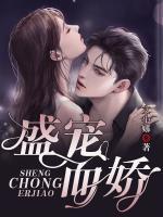 盛璟沈辞
