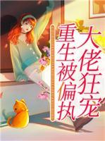 时九念傅景琛