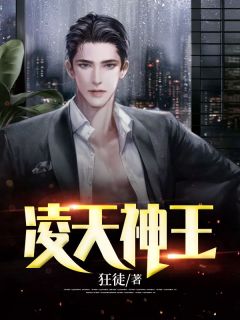 凌天神王小说阅读