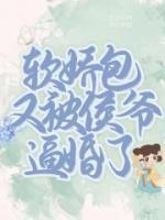 叶泠雾沈挽舟小说阅读