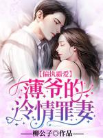 沈凌兮薄夜辰